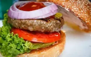 burger with onions
